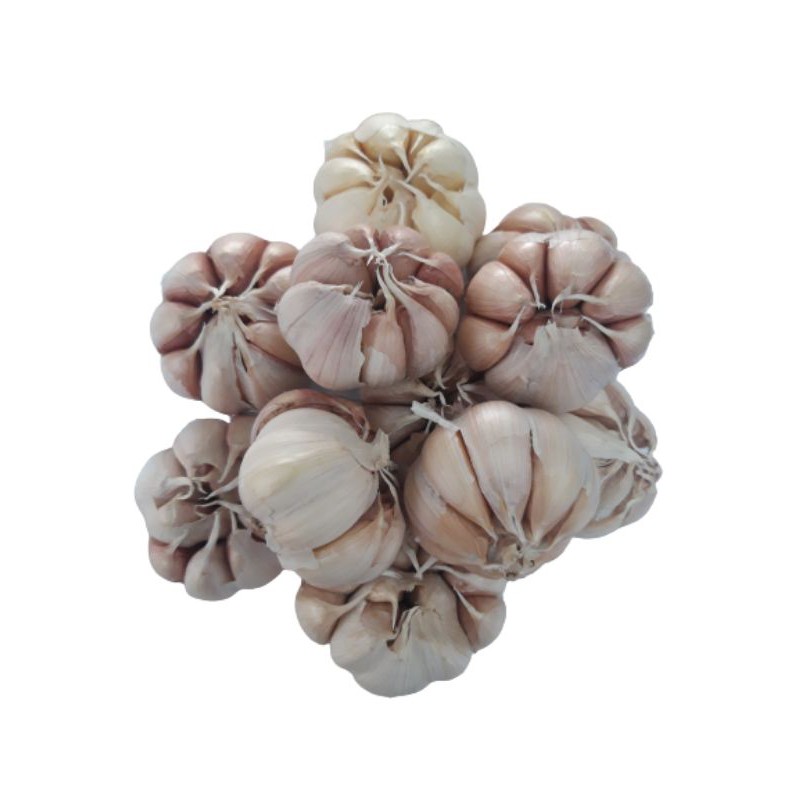 

Bawang putih 250g/500g