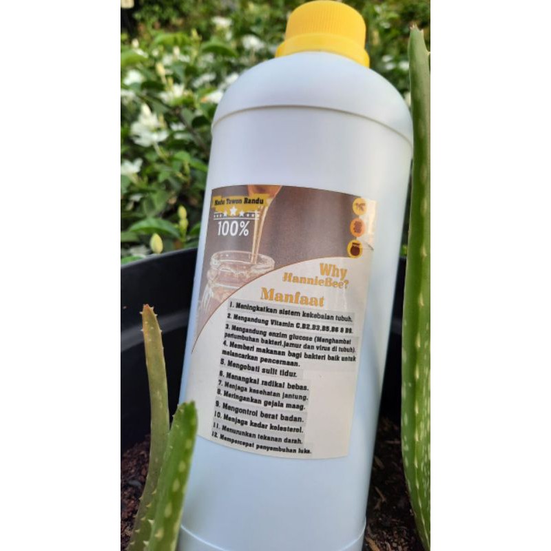 

Madu Asli 100% dari hutan Baduy
