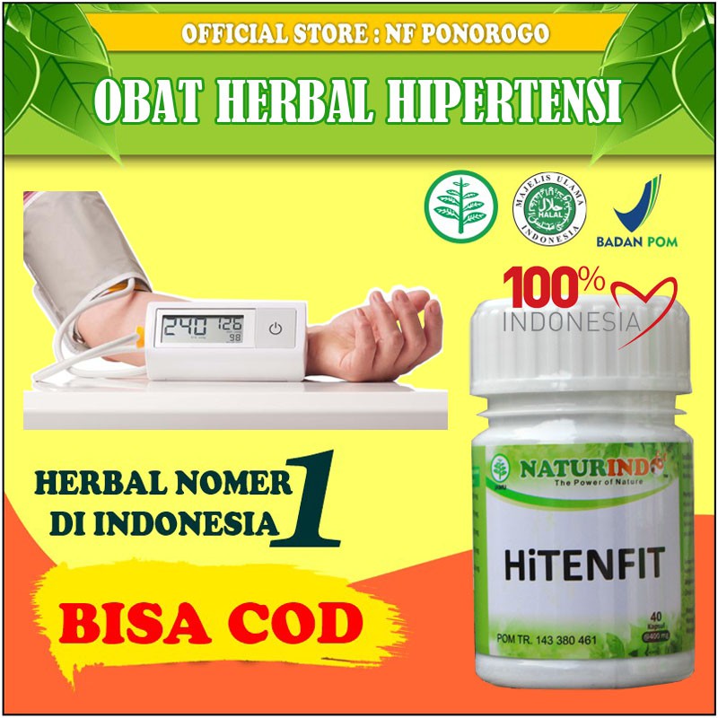  Obat  Darah Tinggi Herbal Ampuh Obat  Hipertensi Obat  