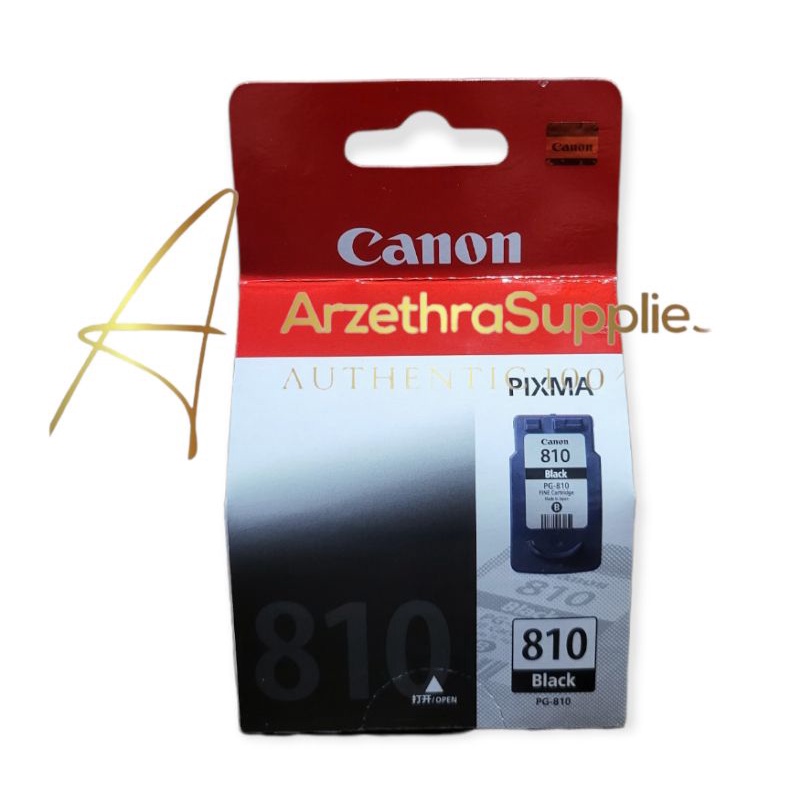 Tinta Canon PG-810 Black Original (Datascrip)