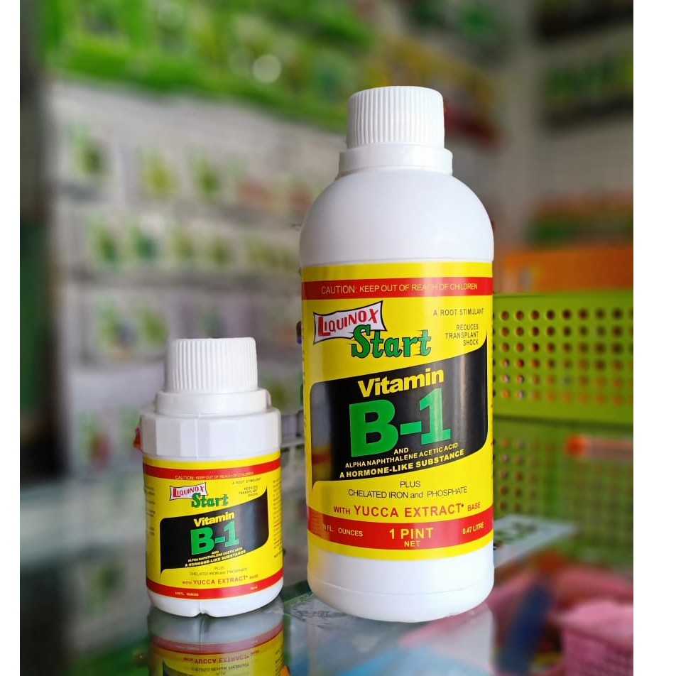 Liquinox Vitamin B1 isi 470 ml - vitamin B1 tanaman