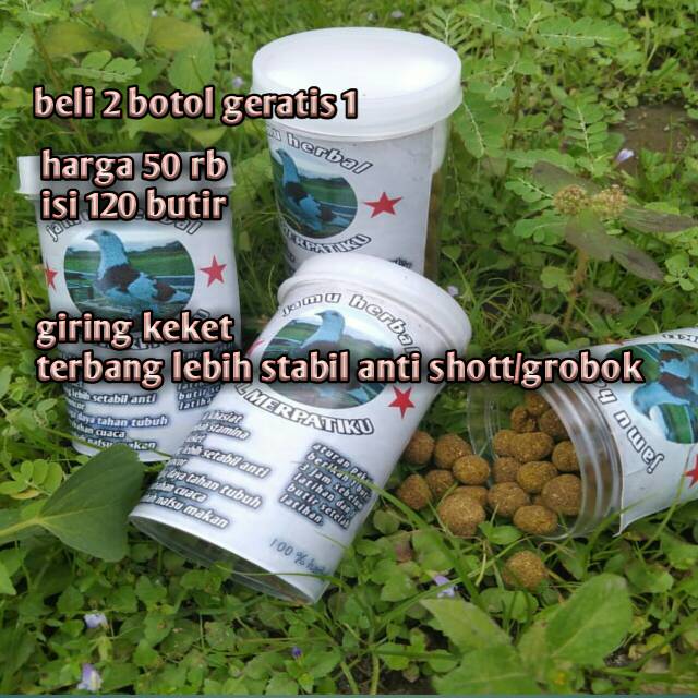 

Pil merpatiku giring edan |beli 2 gratis 1