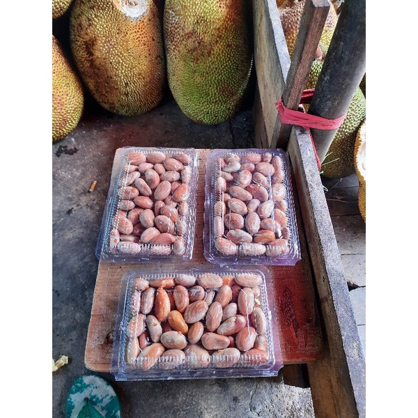 

RB biji beton biji nangka fresh /500 gram