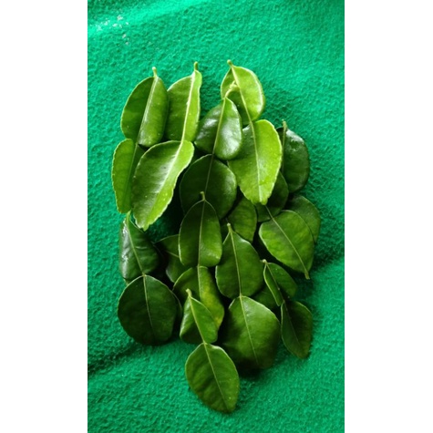 

daun jeruk segar, per 5009, Daun jeruk lembaran