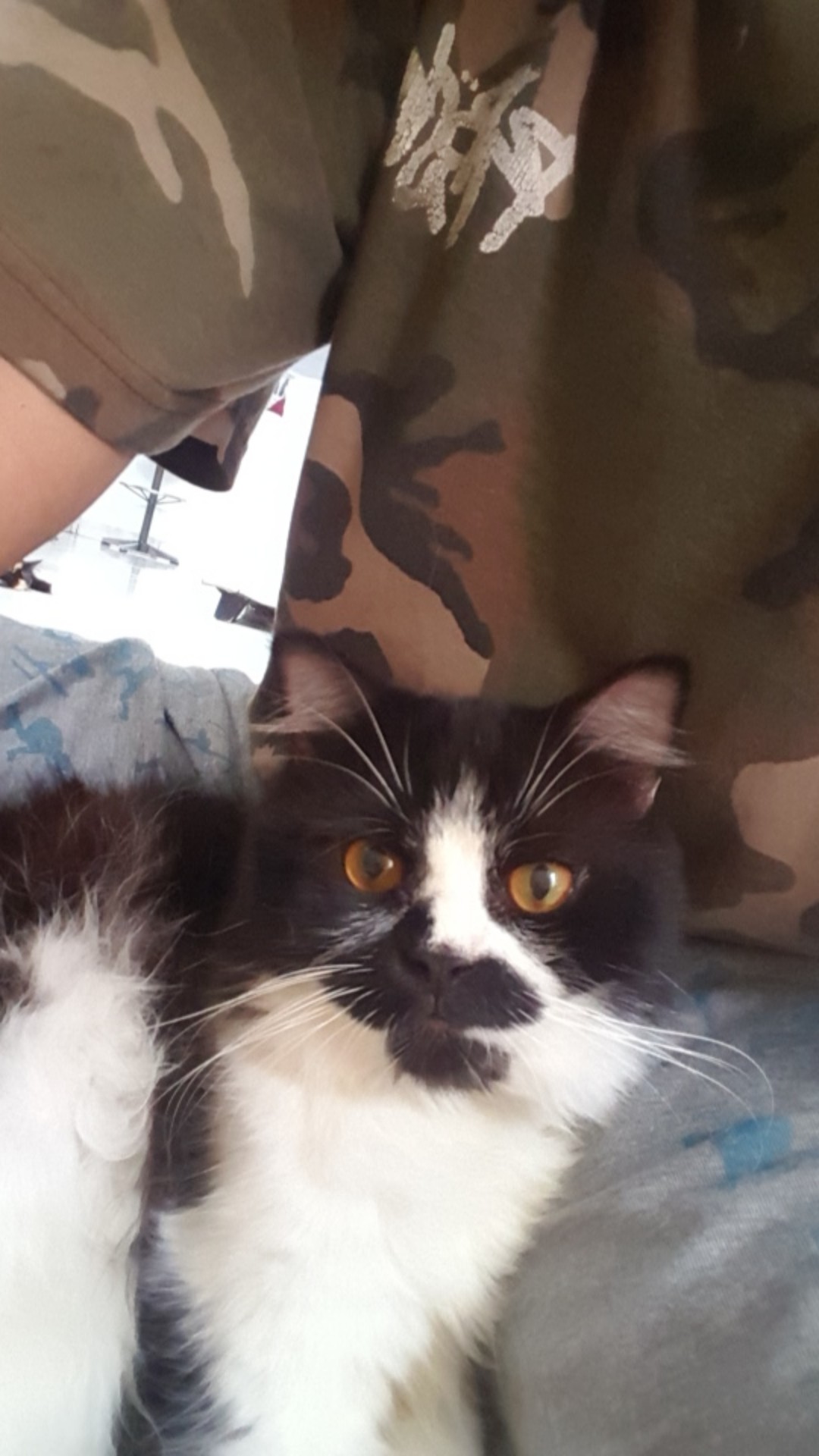 Isi Botol Plastik 60 Ml 0at Dream Harga 1 Biji