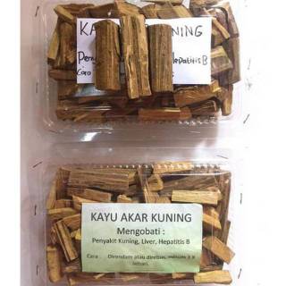 Akar Kayu Kuning Kalimantan - Obat Herbal Multi Khasiat ...