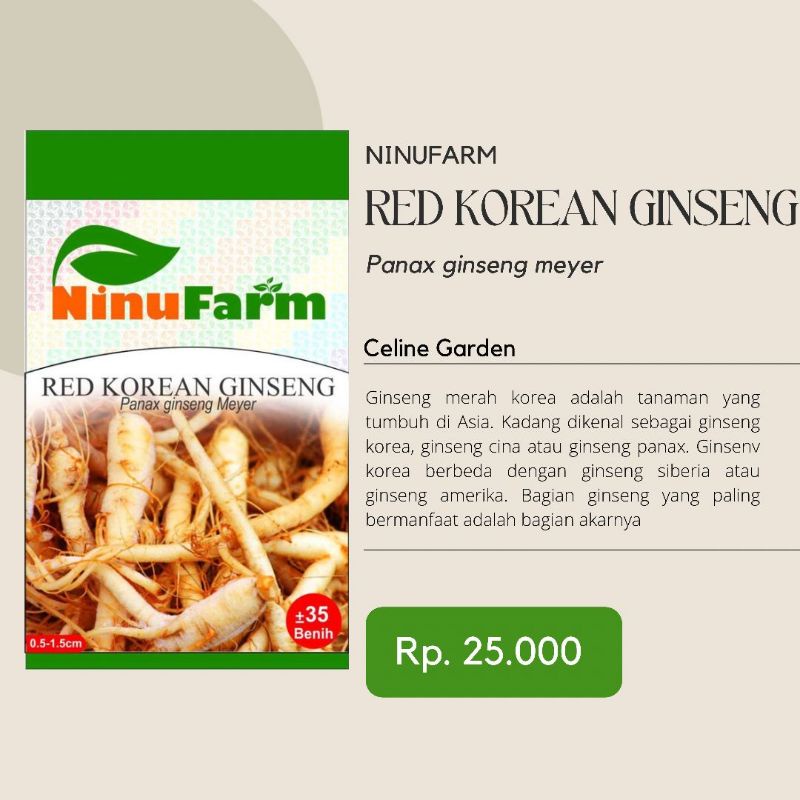 BIBIT GINSENG KOREA / RED KOREAN GINSENG / NINUFARM / KEMASAN ASLI