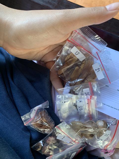 Biji/benih/bibit Tanaman Turi Putih (15 Biji)