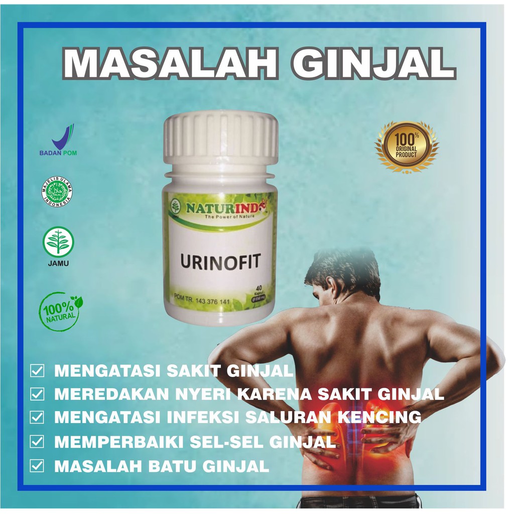 Obat Batu Ginjal Prostat Sakit Kencing Radang Ginjal Herbal URINOFIT