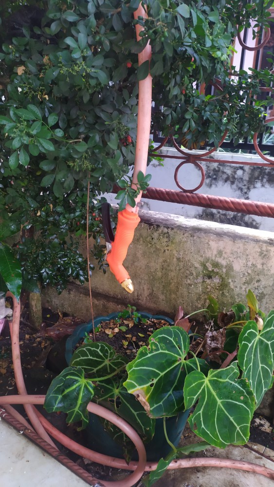 Semprotan Air Taman Hoze Nozzle Crom