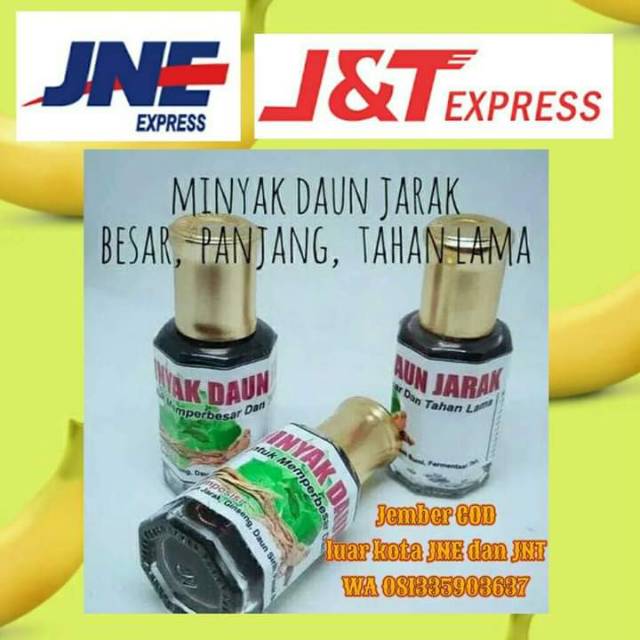 OBAT HERBAL MINYAK DAUN JARAK  PEMBESAR KELAMIN PRIA ASLI 