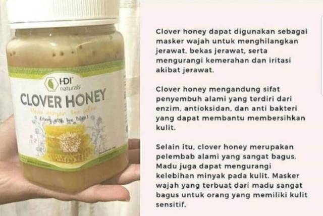 Manfaat madu clover honey untuk asam lambung