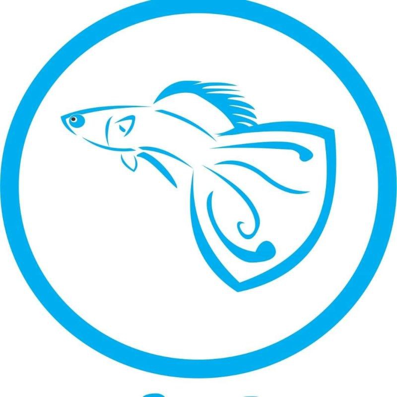 rekber sepair helboy dan fccp