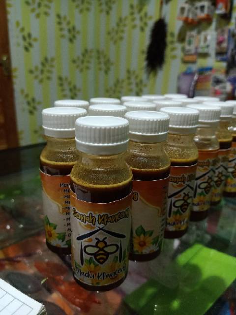 Mengenal Propolis Lebah Madu Klanceng Trigona Spkelulut