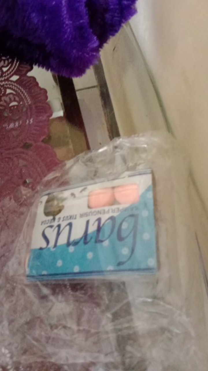 Kamper Barus Pengusir Tikus Kecoa