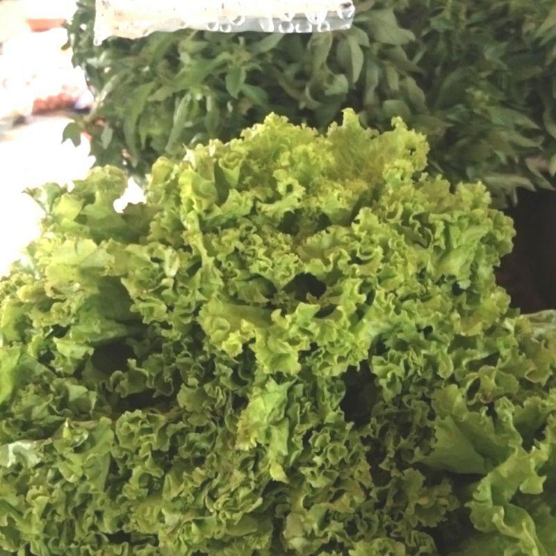 

slada kriting (500 gram)