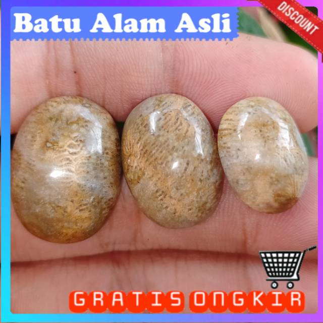 Batu akik motif kelabang lipan antik