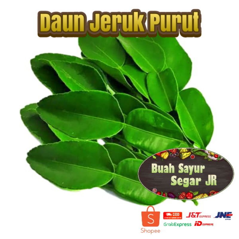 

DAUN JERUK PURUT