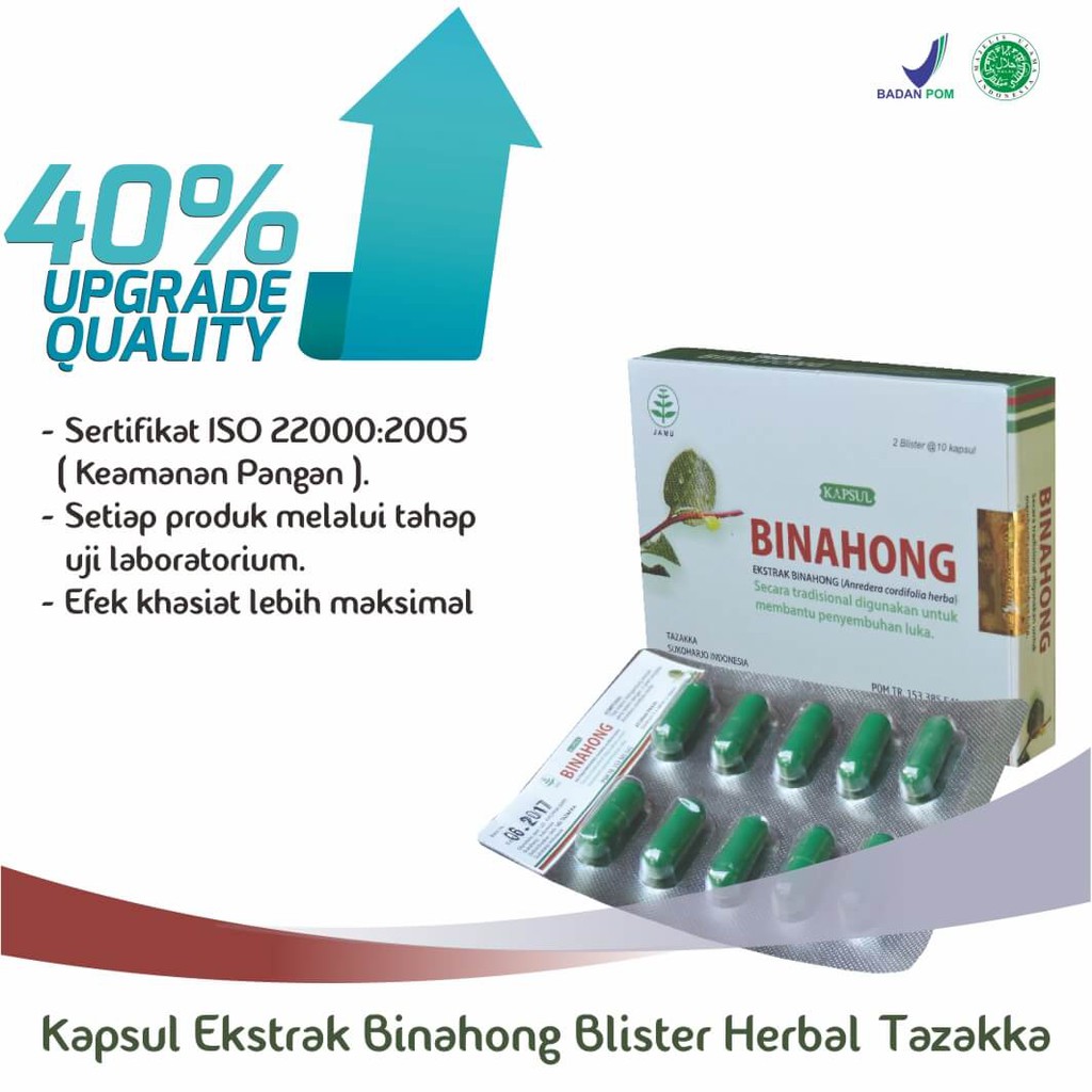 Obat Herbal Luka Pasca Operasi Ekstrak Daun Binahong Asli Tazakka Original 20 Kapsul Blister.