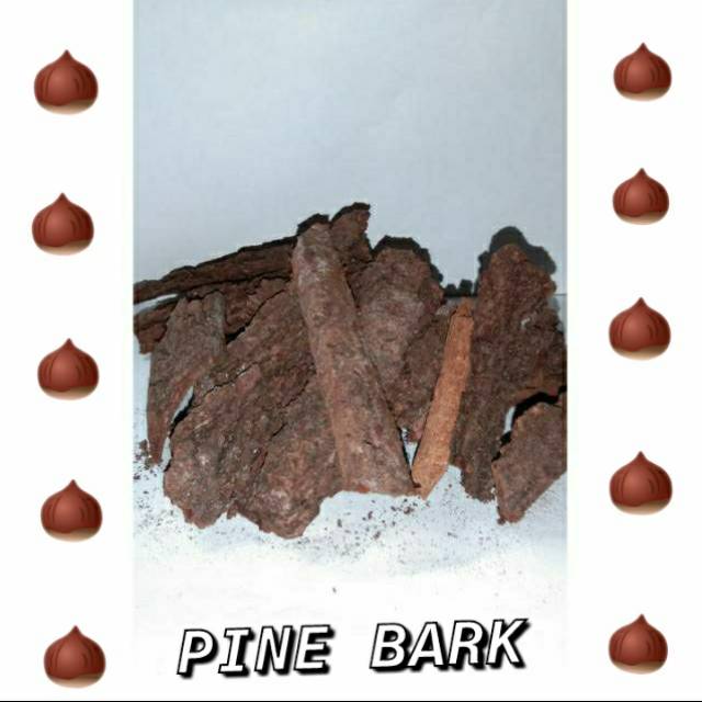 MEDIA TANAM ANGGREK -  PINE BARK