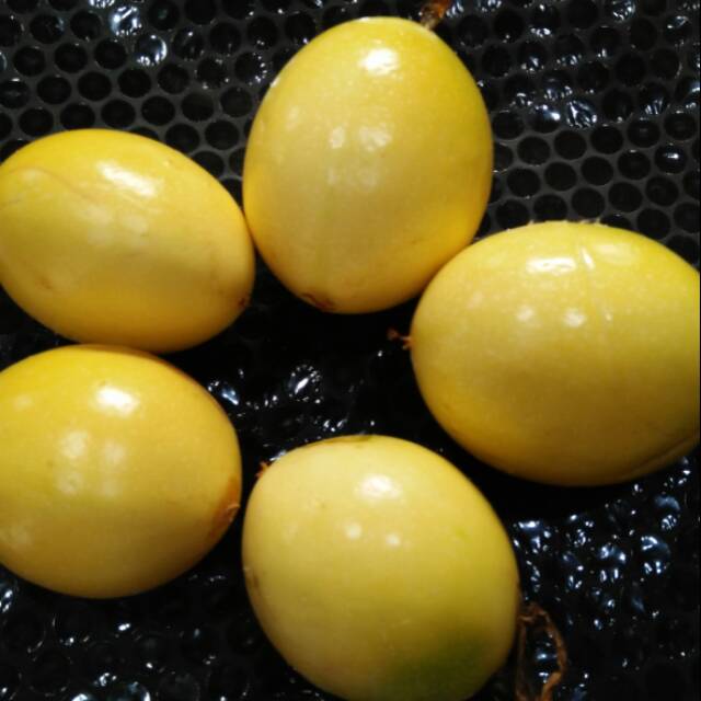 

Buah markisa segar