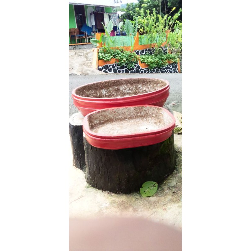 pot bonsai lonjong besar