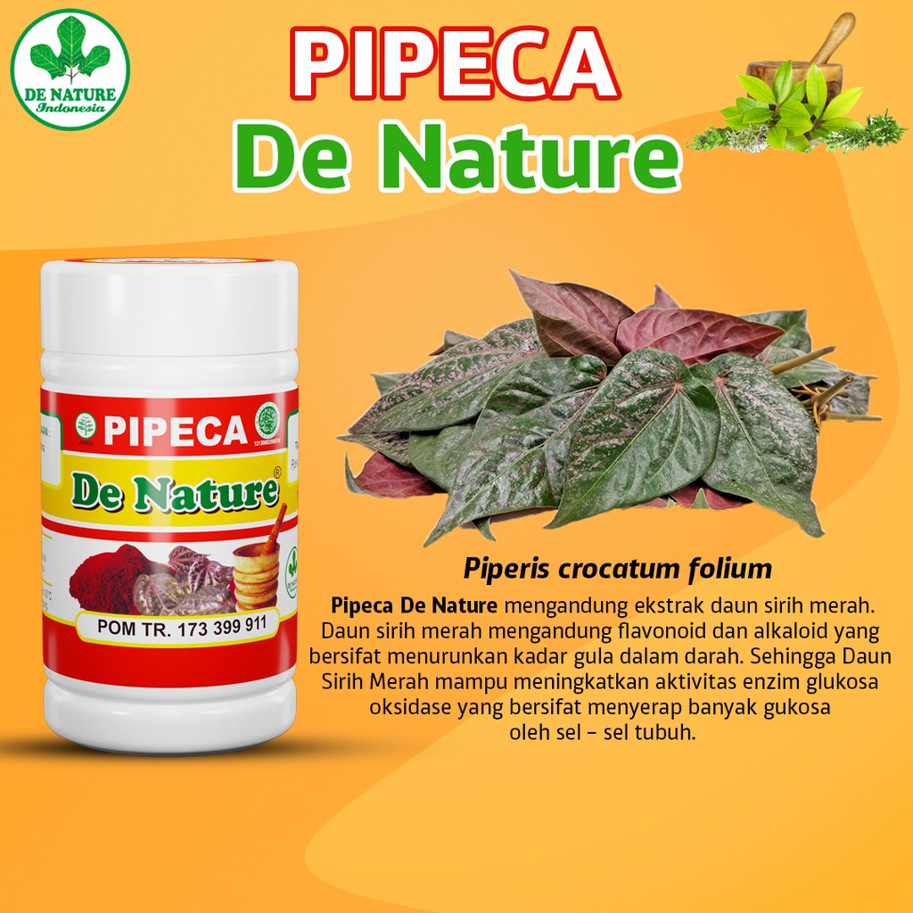 

ASLI OBAT HERBAL DIABETES GULA DARAH KENCING MANIS- PENYAKIT PARU-PARU- PERADANGAN- PIPECA DE NATURE