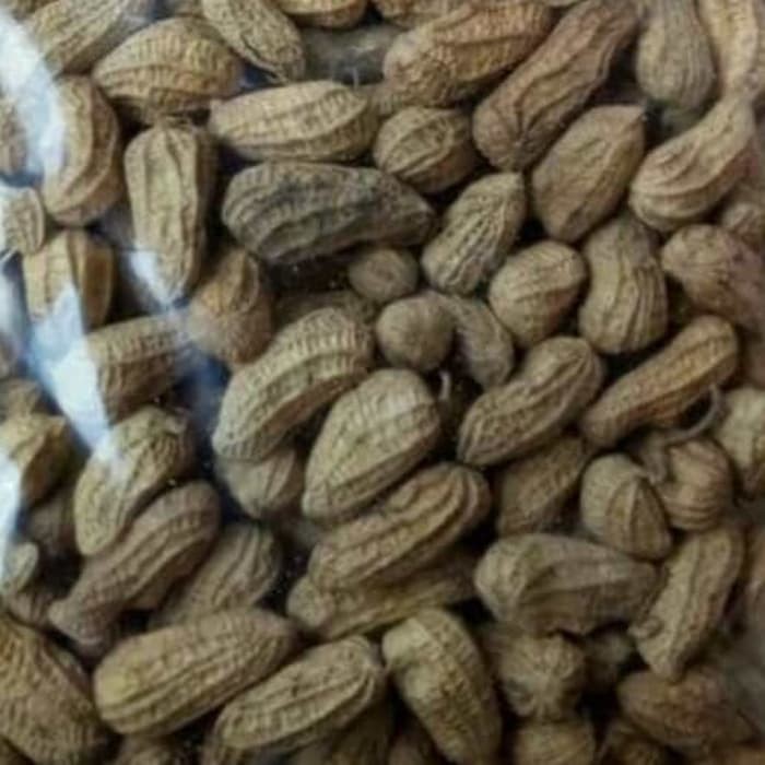 

Toko kacang sangrai super Nikmat