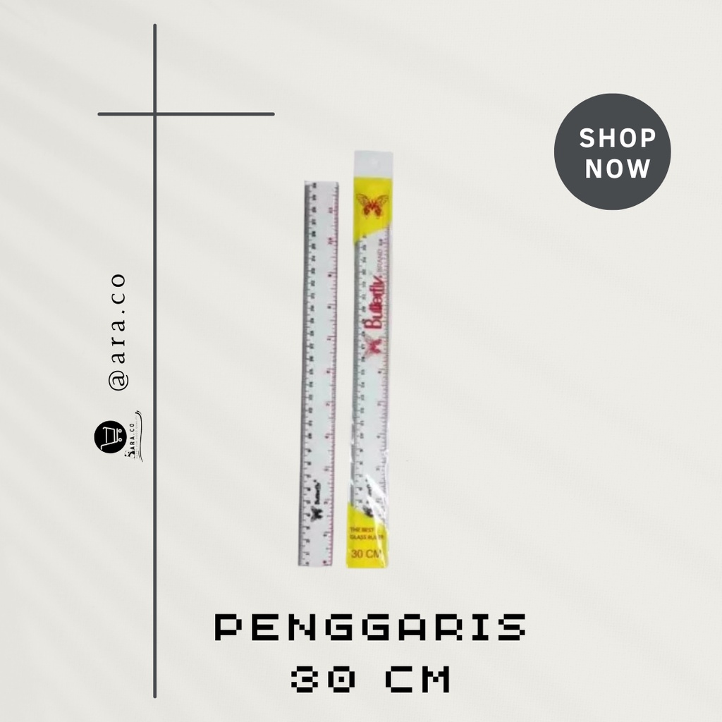 

PENGGARIS PLASTIK BUTTERFLY 30 CM