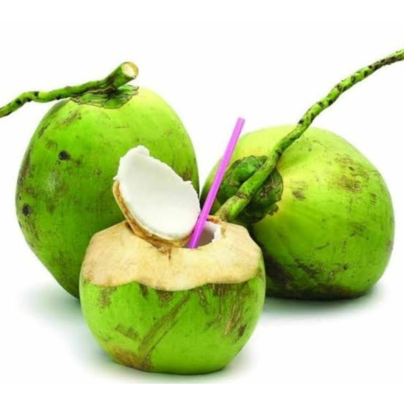 

klapamuda