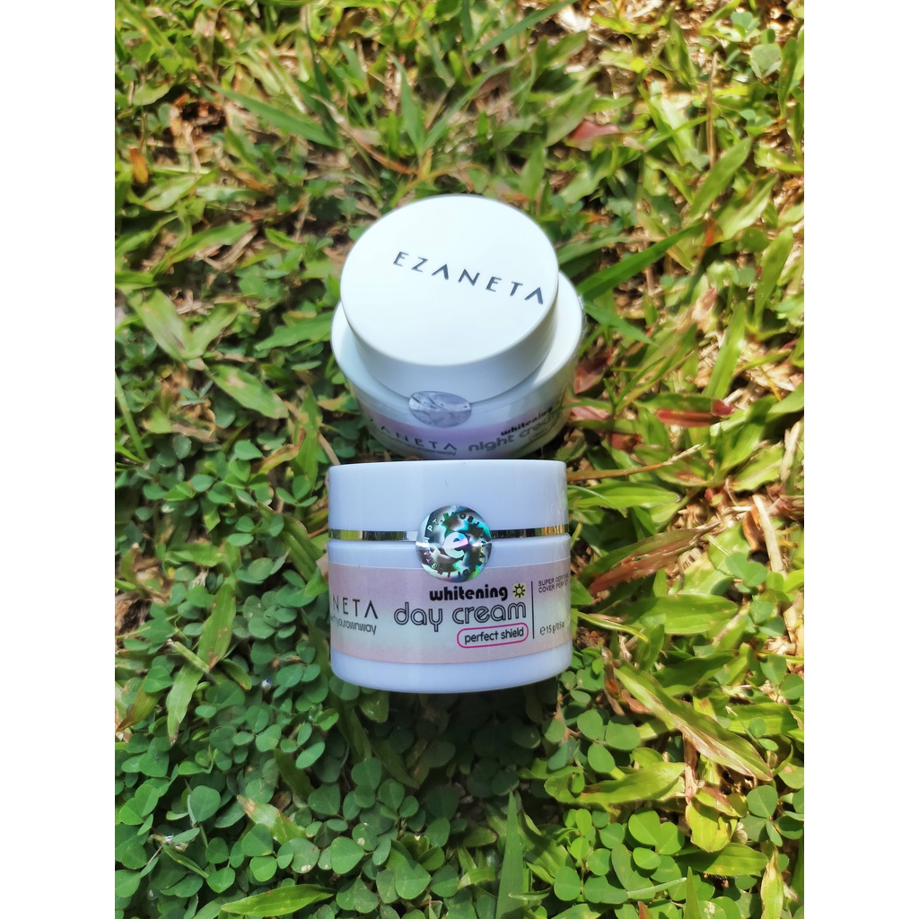 DAY CREAM EZANETA SKINCARE BPOM GLOWING CREAM PEMUTIH WAJAH BPOM EZANETA PAKET KRIM PEMUTIH WAJAH PA