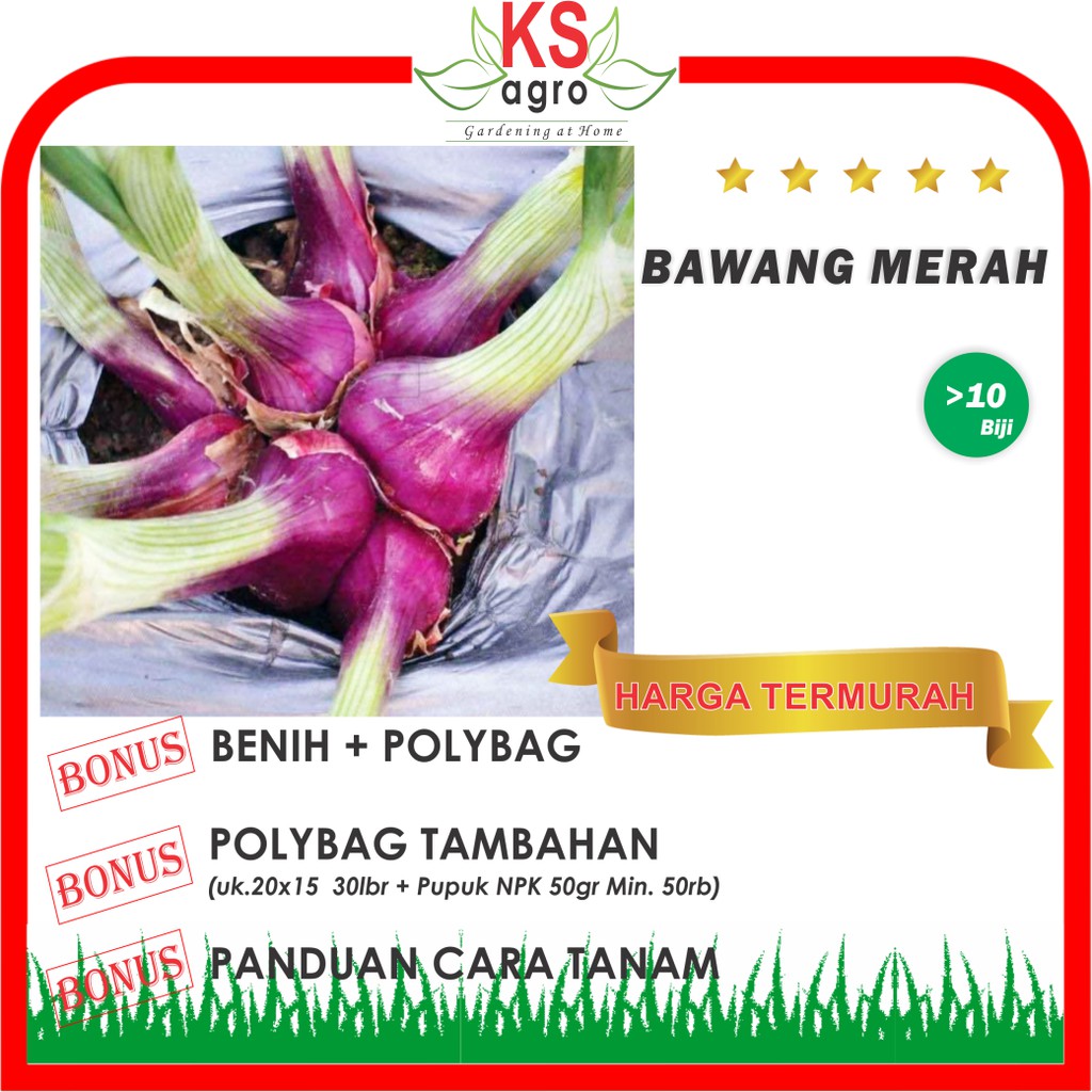 BENIH BAWANG MERAH BIBIT SAYURAN UNGGUL