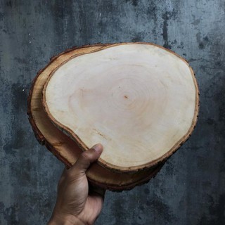 Wooden Slice 20 35 cm BIG SIZE Potongan  Kayu  Tatakan 