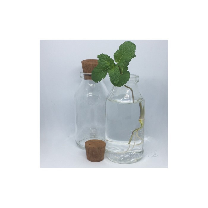 Vas botol kaca bening hidroponik kecil mini clear 100 ml tutup kayu