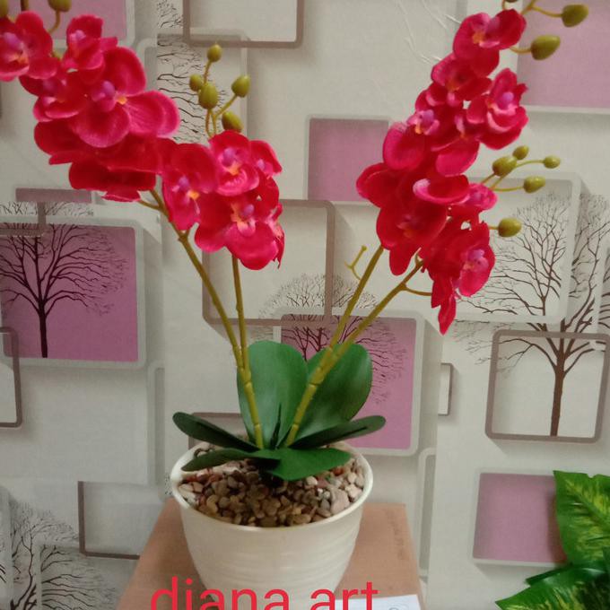 anggrek merah muda/anggrek tiruan