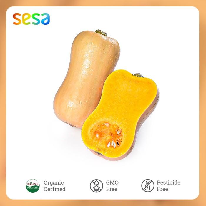 

Labu Butternut Organik /pcs Best Seller