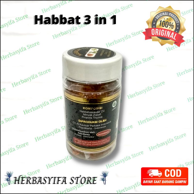 Habbasay Fit 60 Kapsul - Habbatussauda Plus Propolis Trigona  Habbats 3in1