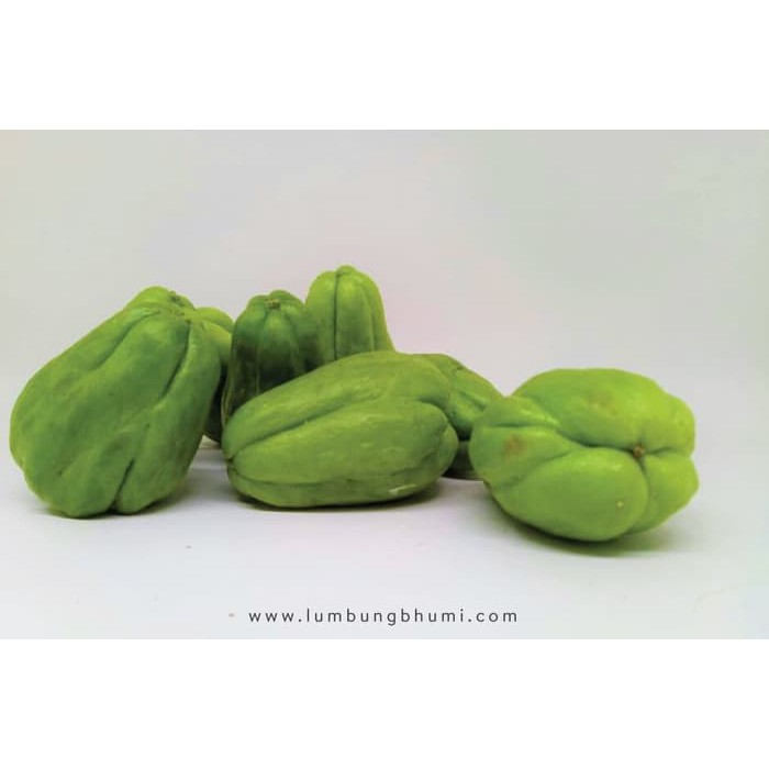 

HOT SALE BABY LABU SIAM ( SAYUR - SAYURAN CURAH ) !