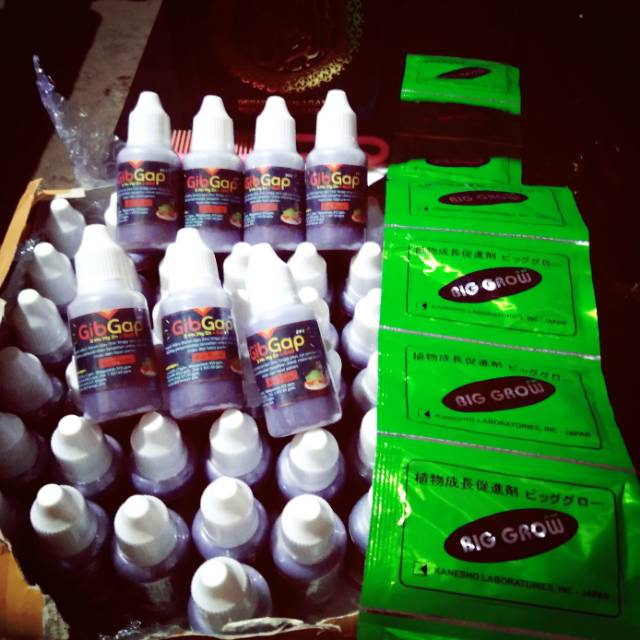 Paket BIGGROW BIG GROW DAN GIBGAP GIPGAB GA3 NUTRISI PEMBESAR BUAH NAGA