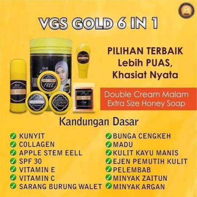 VGS GOLD 6IN1 DOUBLE NIGHT CREAM / VGS PREMIUM 6 IN 1 KEMASAN BARU