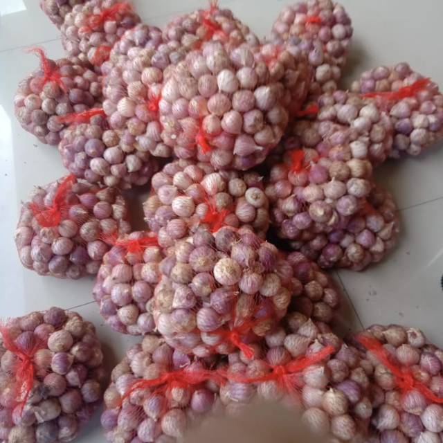 

Bawang putih tunggal/Lanang impor kemasan 500gr