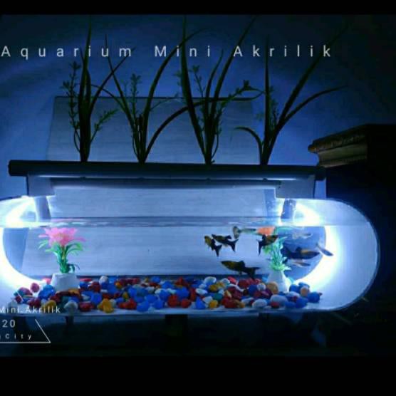 Terbaik Aquarium mini akrilik ( Lengkap lampu &amp; hiasan)....