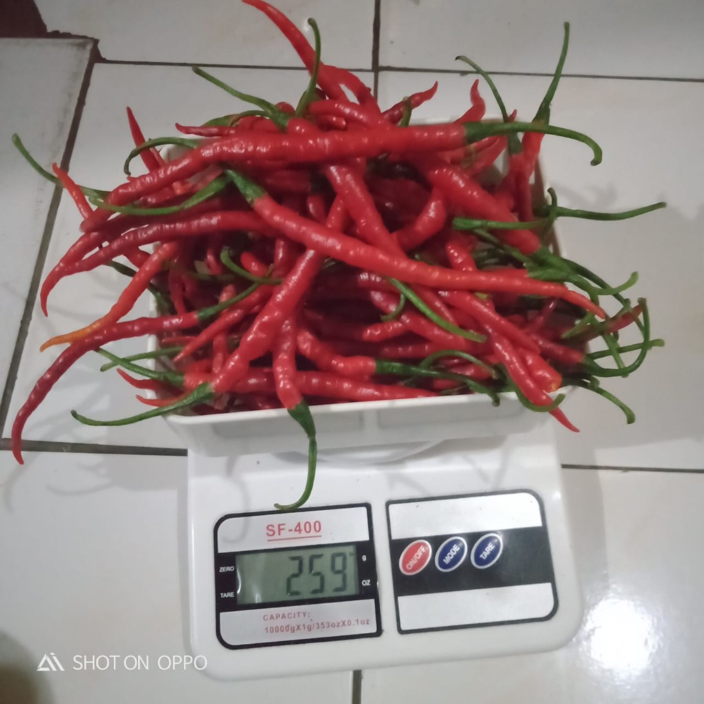 

CABE MERAH KERITING PAKET PAK FAJAR