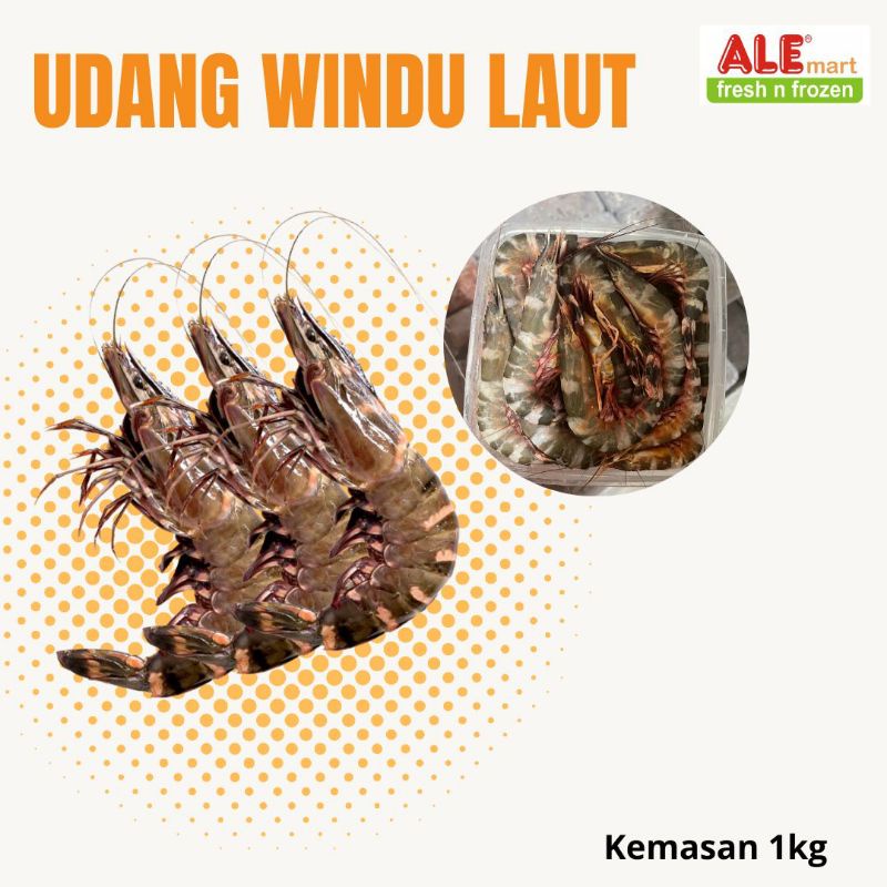 Udang windu ,udang windu laut, udang windu tiger
