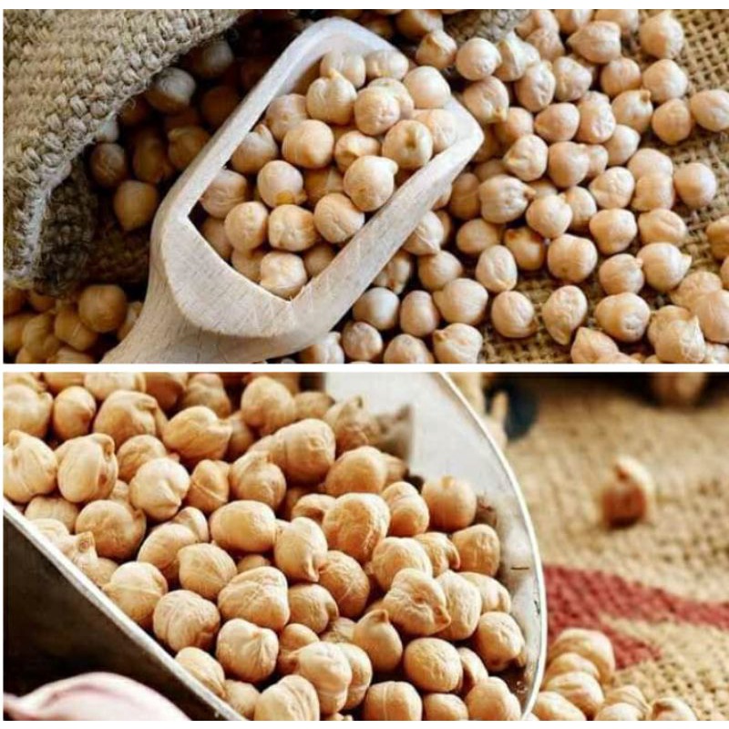 

kacang arab