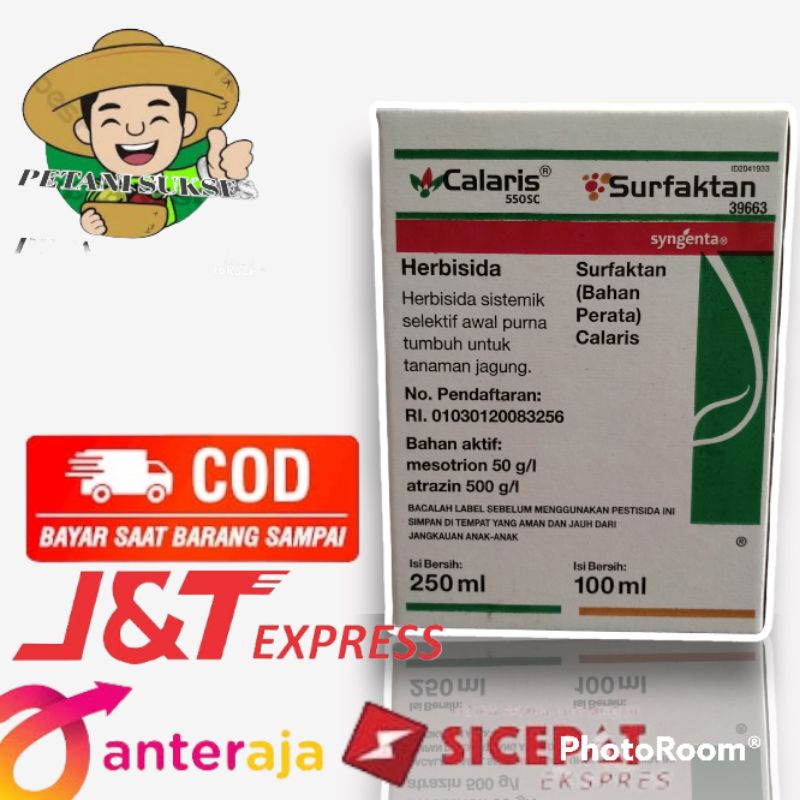 Calaris Herbisida Sistemik Mengendalikan Gulma Pada Tanaman Jagung