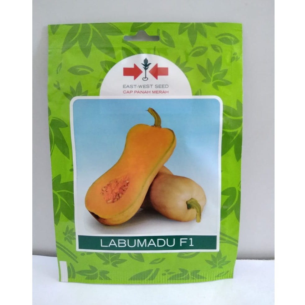 Benih Labu Madu Panah Merah @ 10 Butir