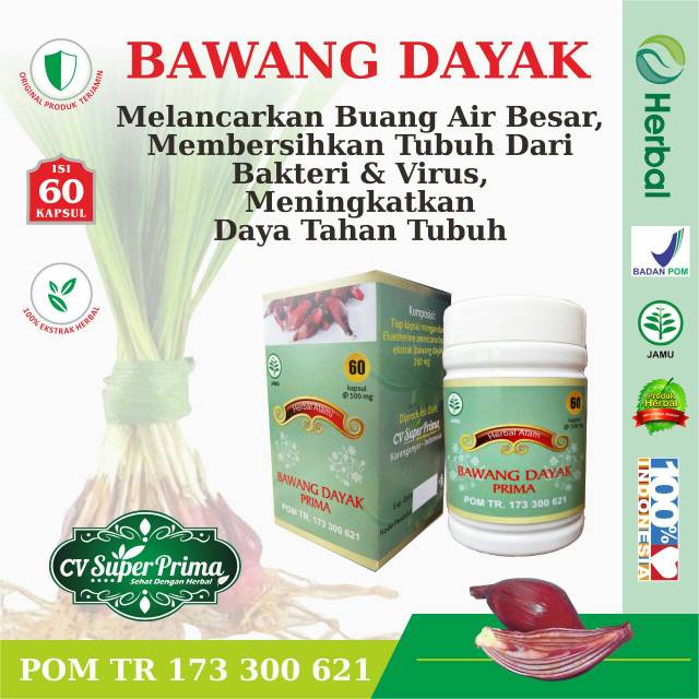 HERBAL BAWANG DAYAK ATASI BUANG AIR BESAR/BUNUH BAKTERI DALAM TUBUH/MENINGKATKAN DAYA TAHAN TUBUH