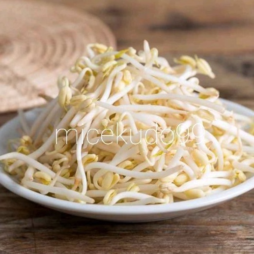 

500GR TAUGE SEGAR / TOGE PANJANG KECAMBAH BEANSPROUT FRESH SAYUR BALI