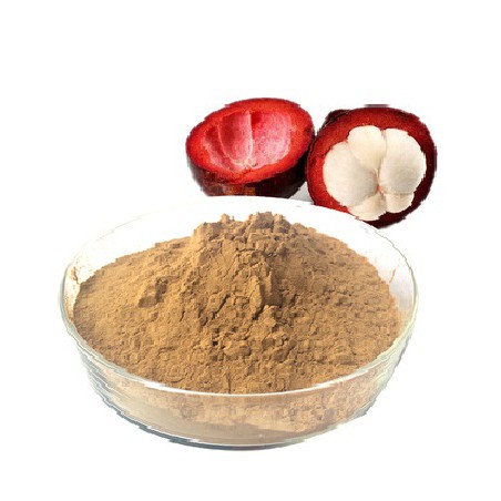 

Kulit manggis bubuk murni 500gr